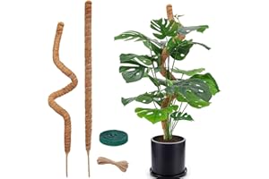 MPXEAVG Sostegno per Piante, 120 cm Palo per Piante Rampicanti, Bastone per Piante Rampicanti, Supporto Piante Rampicanti, Pieghevole, Supporto Piante Interno, per Piante Rampicanti che Crescono Verso I'alto