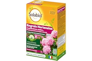 SOLABIOL Engrais Hortensias - Rhododendrons - Azalées & Camélias - 1,5Kg - Jusqu'à 120 Plants - Nutrition Longue Durée - 85% De Fleurs En Plus - Utilisable En Agriculture Biologique SORHOY15