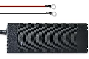 DCHOUSE 10A 12V Intelligent Automatic Lithium Battery Charger Specially Designed for 12.8V LiFePO4 Batteries