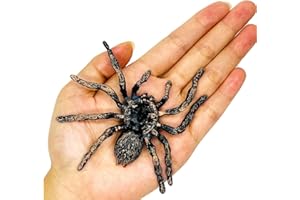 QIZHIQIAMY Spinnen Halloween, Spinne Spielzeug, Halloween Deko Spinne, Realistische Kunststoff Spinnen, Plastik Spinnens Klein, Halloweens Dekorationen für Zuhause, Büro, Party (1PCS)