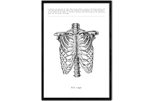 ‎NACNIC Nacnic Poster Calavera. Anatomie des menschlichen Körpers. Muskeln und Knochen. Filme mit menschlichen Körperteilen. A3 Größe Rahmen