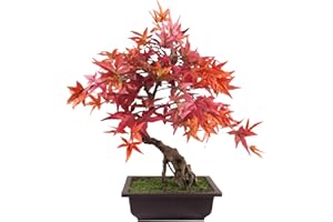 Leaf Artificial Tree, Red Maple Bonsai, 50cm