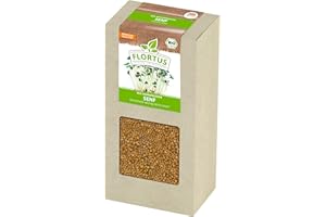 ‎FLORTUS FREUDE AN VIELFALT FLORTUS BIO Keimsprossen Senf (200 g) | Gesunde & leckere Keimsprossen | Sprossensaat | Keimsprossen | Keimsaaten