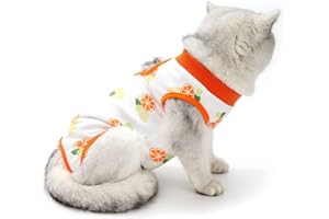 PAIDEFUL Traje de Recuperación para Gato y Perros de Mascota Niña Camiseta de Médico para Cirugía Conos E Alternativos para Enfermedades De La Piel Heridas Anti Lamiendo Naranja M