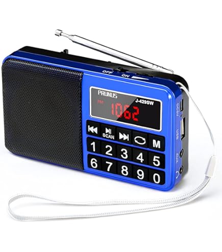 PRUNUS J-725 Radio Portable, Radio FM avec Batterie Rechargeable de