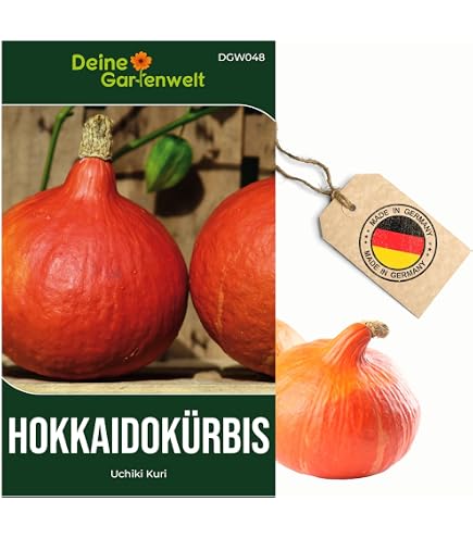 saatgut bienenweide mehrjährig Bienenweidemischung niedrig ein- und mehrjährig – Mulder Retail B.V main image 0