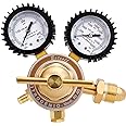 BETOOLL Nitrogen Regulator with 0-400 PSI Delivery Pressure Equipment Brass Inlet Outlet Connection Gauges