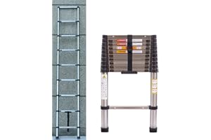 RIGOGO Escalera Telescópica de 2,6 m, Escalera Extensible de Acero Inoxidable, Escalera de Extensión Portátil con 9 Peldaños, Capacidad de 150 kg, EN131