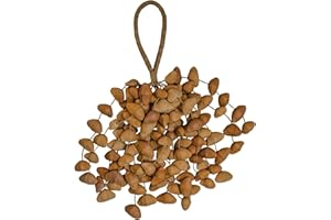 Terré Seed Shaker XXL Cha Cha Nut