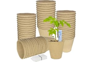 Belinlen 100 Pack 8cm Round Biodegradable Fibre Seedling Pots with 100 Pcs White Plastic Plant Labels Perfect for Indoor and Outdoor