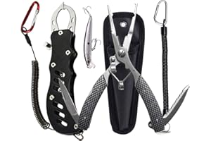 DY.2ten Pinza per labbro da pesca e pinze, in acciaio inox, multifunzione, cordino a spirale e fodero, esche, regali per uomini