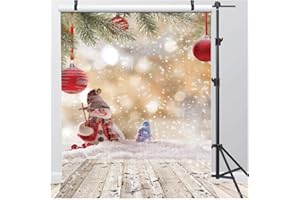 AIIKES 5x7FT Natale Pupazzo di Neve Fotografia Vinile Sfondo Di Natale A Tema Pupazzo di Neve Fondali Fotografici Per Studio Fotografico Puntelli 10-827