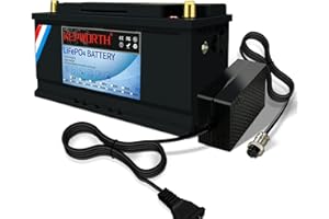 DEESPAEK Batería de litio de 12V 100Ah, baterías recargables de ciclo profundo LiFePO4 con protección BMS de 100 A, para kit de panel solar, marino, motor de arrastre, caravana, RV, barco