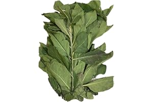 CST AUTHENTIC FOOD Fresh Vegetables-Different Types-Per Bunch (Fresh Bitter Leaves)