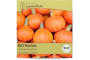 Samenliebe BIO Hokkaido-Kürbis Samen alte Sorte Hokkaido Red Kuri 10 Samen samenfestes Gemüse Saatgut für Gewächshaus und Freiland BIO Gemüsesamen
