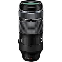 【ふみ】OLYMPUS M.ZUIKO 100-400mm IS OM System M.Zuiko DIGITAL ED 100-400mm F5.0-6.3 is