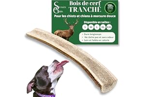 Stanley Gibbs Bois de cerf pour Chien a Macher TRANCHÉ (1 pièce). Friandise pour Chiots et Chiens de Tout âges. Jouet Occupation. Jouet de Mastication. Soins Dentaire idéal (XXL)