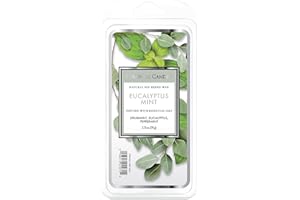 Colonial Candle Duftwachs für Dein Zuhause - Eucalyptus Mint (77g) - Der Entspannungsduft für Deine Duftlampe - Duftwachs-Melts mit je 4h Pro Block - Sojawachsmischung