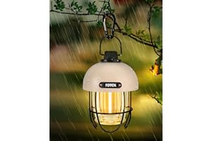 FDTEK Lampada da Campeggio Ricaricabile, LED Lampada Campeggio Retrò Lanterna Ricaricabile USB Dimmerabile Luce Bianca Calda Tipo C Lanterna da Campeggio Portatile per Campeggio, Pesca, Escursionismo