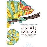 Alfabeti naturali. Piccola guida all'osservazione della creatività dell'universo. Ediz. a colori