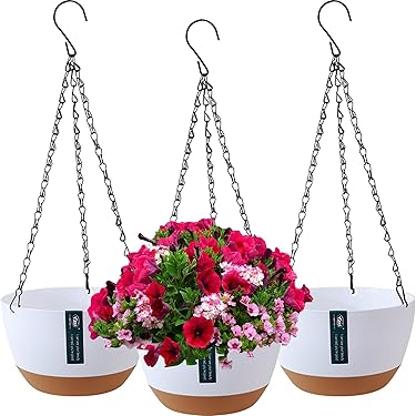 KAZAI. Wandvazen -Alma | Moderne hangende bloempotten voor aan de muur