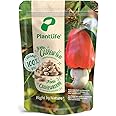 PlantLife Anacardi BIO 1kg – anacardi crudi naturali non trattati - 100% riciclabile