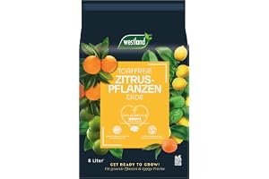 Westland jord för citrus, 8 l – Jord med lerakorn för speciellt citronträd, för en idealisk fördelning av vatten och näringsämnen