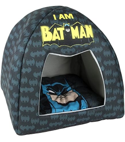 Buckle-Down Batman Hundeleine – 122 Cm, 3,8 Cm Breit, Schwarz/silber, Aus USA