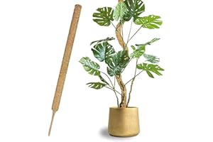 JJHXM 1 Pièces 70cm*4CM tuteur Plante grimpante,tuteur Plante Interieur,tuteur Plante,Tuteurs pour Plantes,pour Plantes de Jardin Intérieur et Pots