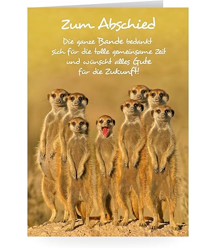 WBdesignz Abschied Karte Mit Umschlag - Abschiedskarte Für Kolleginen Mit Einem Spruch Otter Mit Herz Glückwunschkarte Geschenkkarte Zum Abschied Und Neuanfang (XXL DIN A4
