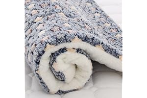 IIK Cozy Calming Cat Blanket, Ultra Soft Dog/Cat Bed Mat with Cute Prints, Dog/Cat Blankets for Indoor Cats, Warm Pet Mat in A Variety of Sizes to Fit Most Pets (A,31 * 24in)