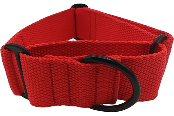 EGV - Collar Martingale 4 cm ancho, Collar galgo hecho a mano en España, Collar galgo ancho y para todo tipo de perro, Collar martingale con hebillas negras, Coleira cao, Dog collar