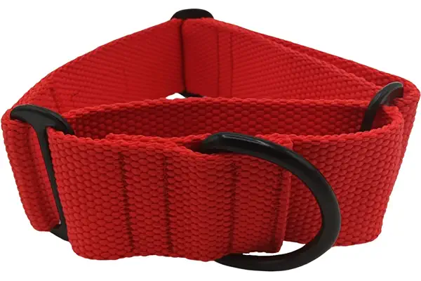 EGV - Collar Martingale 4 cm ancho, Collar galgo hecho a mano en España, Collar galgo ancho y para todo tipo de perro, Collar martingale con hebillas negras, Coleira cao, Dog collar