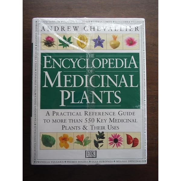 Encyclopedia of Herbal Medicine (DK Natural Health): Amazon.co.uk