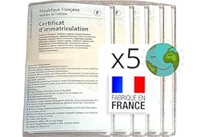 BLAUBODY Pochette Carte Grise - Etui en lot de 5 Porte cartes grise pour Protéger papier Assurance Auto, Moto, Permis - Pack de Pochettes Accessoires Voiture en gros Finition Transparente Porte Papier Voiture