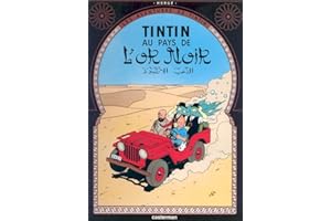 Les Aventures de Tintin 15: Au pays de l'or noir (Französische Originalausgabe)