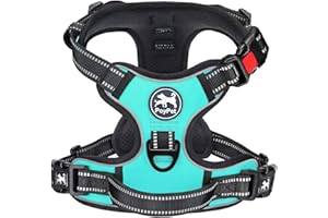 PoyPet No Pull Imbracatura riflettente per cani senza choke, gilet regolabile e morbido imbottito con impugnatura Easy Control per cani di piccola e grande taglia (menta, blu), S