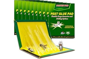 SYNERIX Schabenfalle Kakerlakenfalle Bettwanzen Falle - 31.5 cm x 21 cm Küchenschaben Falle, Klebefallen für Schaben Ungeziefer, Diverse Faltmethoden, Stark Klebrig und Einfach Zu Verwenden(10 Stück)