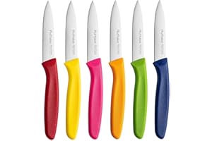 Ruffulon Stainless Steel Paring Knife Set of 6 With Ultra Sharp Blade for Fruits and Vegetables - Sturdy Anti-Slip Handle, Multicoloured