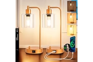 Homelist Table Lamp Set of 2,Dimmable Small Gold Industrial LED Table Lamps Nightstand Beside Reading Desk Lamp with USB Charging Port Glass Shade for Bedroom Living Room Home Office,Gift for Friend