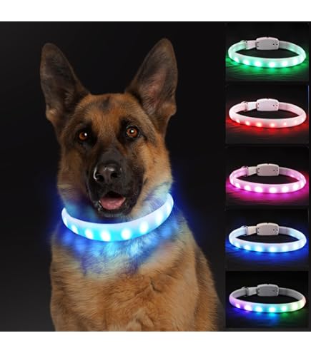 Collare Luminoso Per Cani Ricaricabile USB - LED Impermeabile Con 3 Modalità, Taglia M - Foto 4