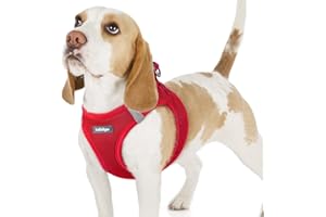 rabbitgoo Dog Harness Small Dog, Step-in Soft Mesh Puppy Harness with Reflective Strips, Lightweight Breathable Pet Vest for Walking Training, Red, M
