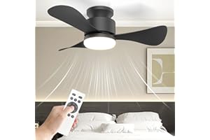 Orthland Ventilateur Plafond avec Lumiere et Telecommande, 71cm Lampe Ventilateur Plafond Silencieux avec Reversible DC Moteur, 3 Pales Plafonnier Ventilateur Petit pour Chambre Salon, 6 Vitesses