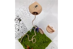 Okueejur Jumping Spider Hide with Magnets & Feeding Dish - Spider Enclosure Accessories (Beige)