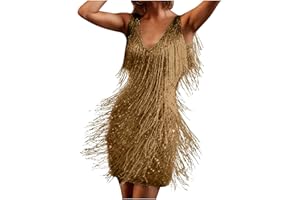 JSijepa Womens Mini Dress 1920s Flapper Fringe Dress Vintage Dance Dress V Neck Sleeveless Fancy Sequin Dress Cocktail Party Dress Tassels Ballroom Samba Tango Latin Dance Dress