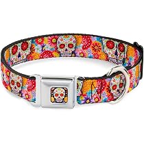 Buckle Down 11-17" Sugar Skull Starburst White/Multi Color Dog ...