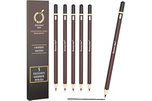 Pinturale Arts Set de 5 Crayon Dessin Professionnel | Crayon Graphite | Crayon Noir Mat Idéaux pour le Dessin Artistique et les Esquisses | Diversités de Dureté : 8B, 10B, 12B, 14B et 16B
