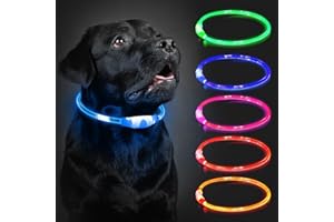 COCODONUT Light Up Dog Collar Rechargeable, LED Collar Waterproof with 3 Flash Glowing Modes, Dog Light for Outdoor Night Walking Visible Safe, Cut to Adjust for Small Medium Large Breed, 70cm, Blue