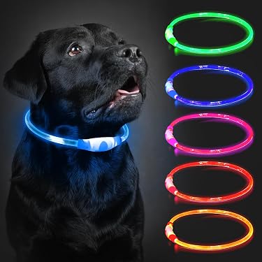 Top Hundetrainingsgeräte: Hundeerziehung Mit Den B Produktbild-Vorschau 5