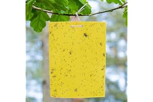 huaao 30 Piezas Trampas Adhesivas Moscas para Insectos, Papeles Pegajosos Amarillos Trampas para Moscas, Pulgones, Mineros de Hojas, Polillas, Afidos, Proteger de Flores y Plantas de Jardín